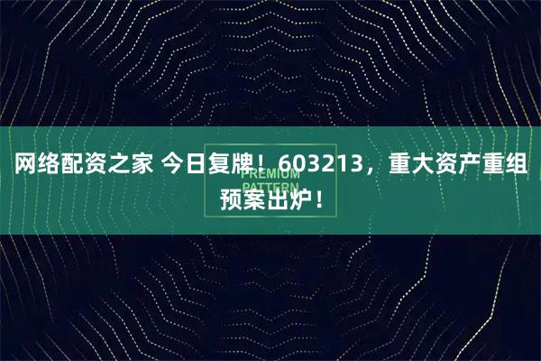 网络配资之家 今日复牌！603213，重大资产重组预案出炉！