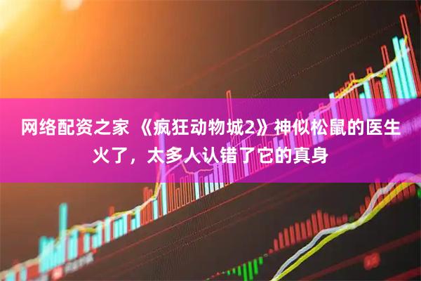 网络配资之家 《疯狂动物城2》神似松鼠的医生火了,太多人认错了它的真身